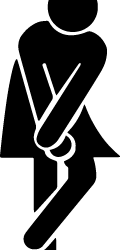 Prolapse, Pessaries and Peeing your pants!!